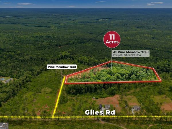 41 Pine Meadow Trail, Forsyth, GA 31029
