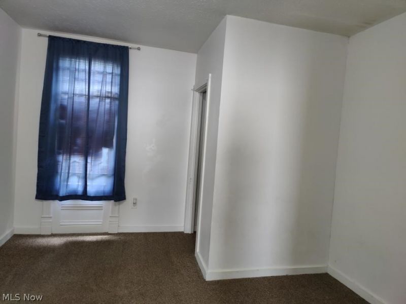 1335 W 3rd Street, Ashtabula, OH 44004 Photo 12