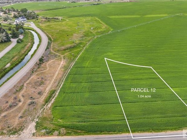 Parcel 12 N 1500 E, SHELLEY, ID 83402