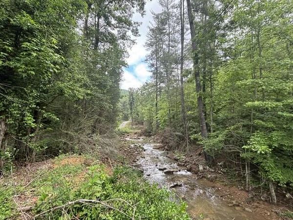 80 Hell Hole Road, Pikeville, TN 37367