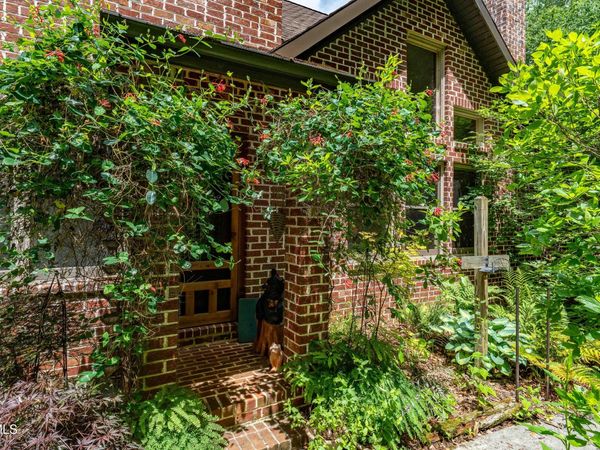 117 Toms Creek Drive, Roan Mountain, TN 37687