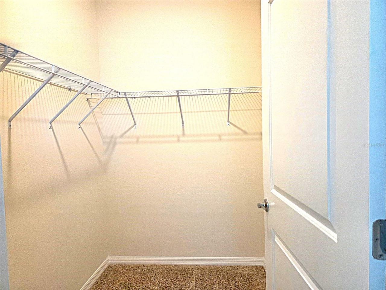 3908 Mossy Limb Court , Palmetto, FL 34221 Photo