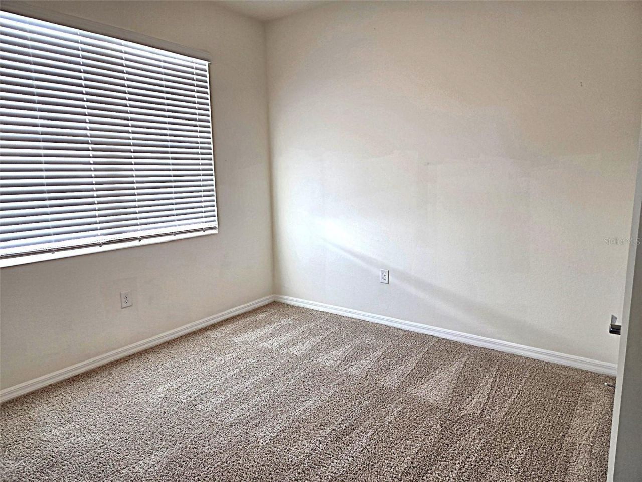 3908 Mossy Limb Court , Palmetto, FL 34221 Photo