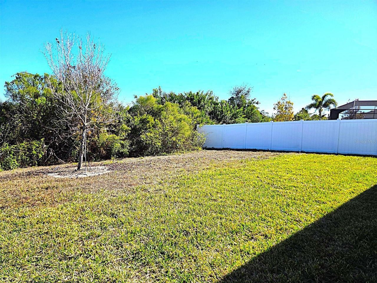 3908 Mossy Limb Court , Palmetto, FL 34221 Photo