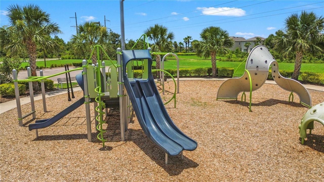 3908 Mossy Limb Court , Palmetto, FL 34221 Photo