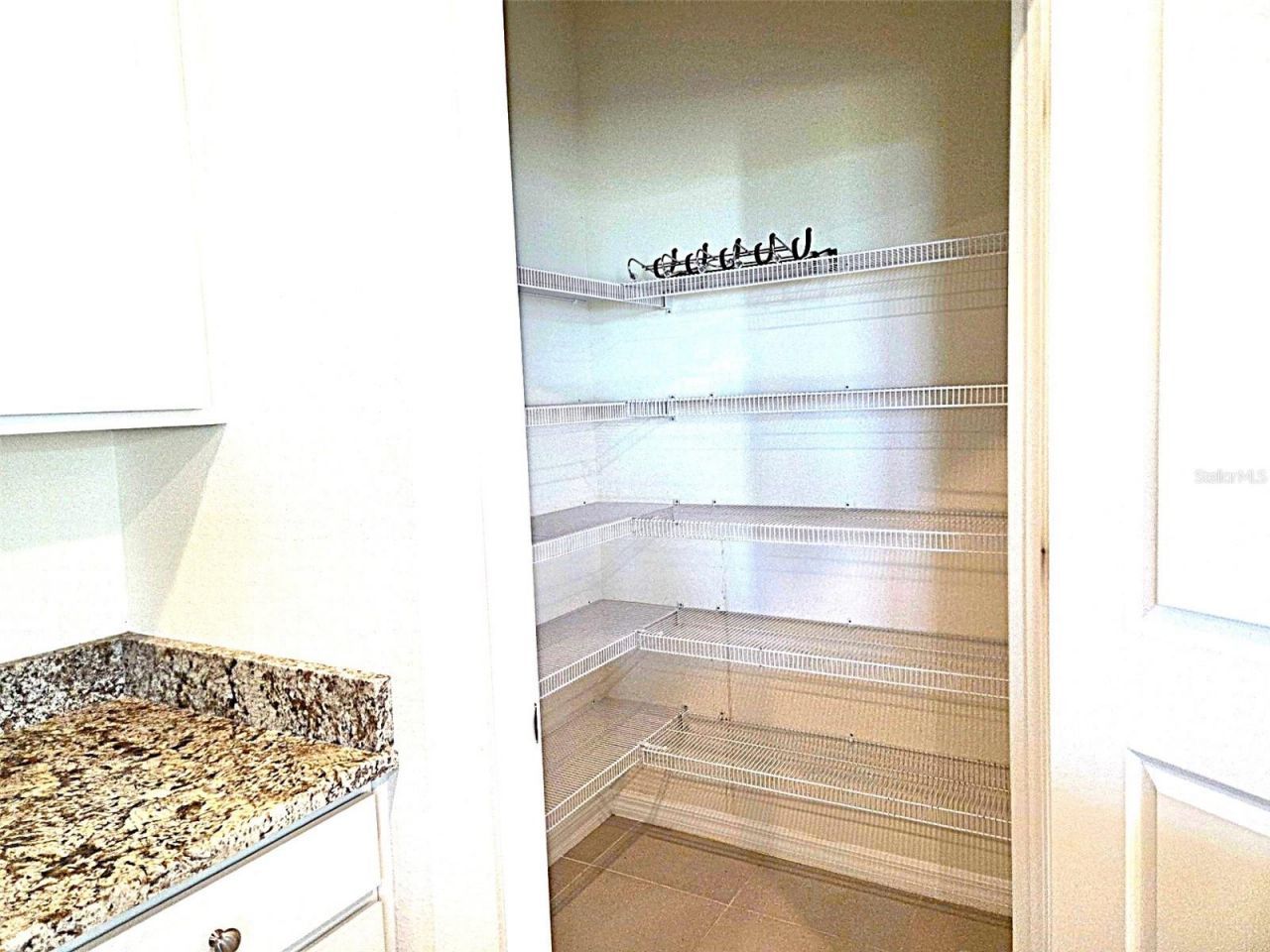 3908 Mossy Limb Court , Palmetto, FL 34221 Photo