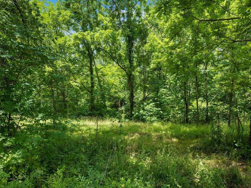 3376 N Waggoner Road, Blacklick, OH 43004 Photo 4
