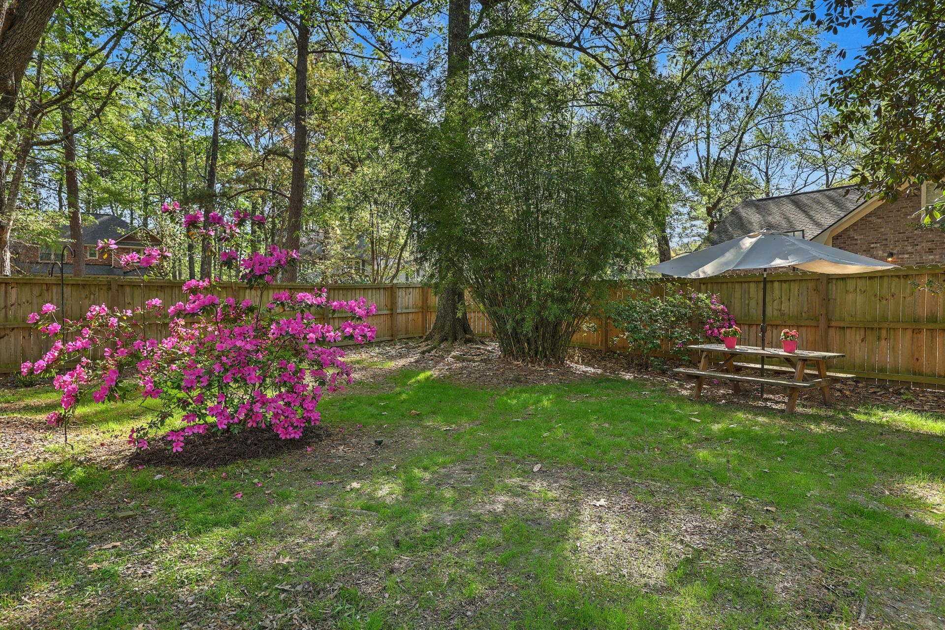 103 Tabby Lane Photo 29