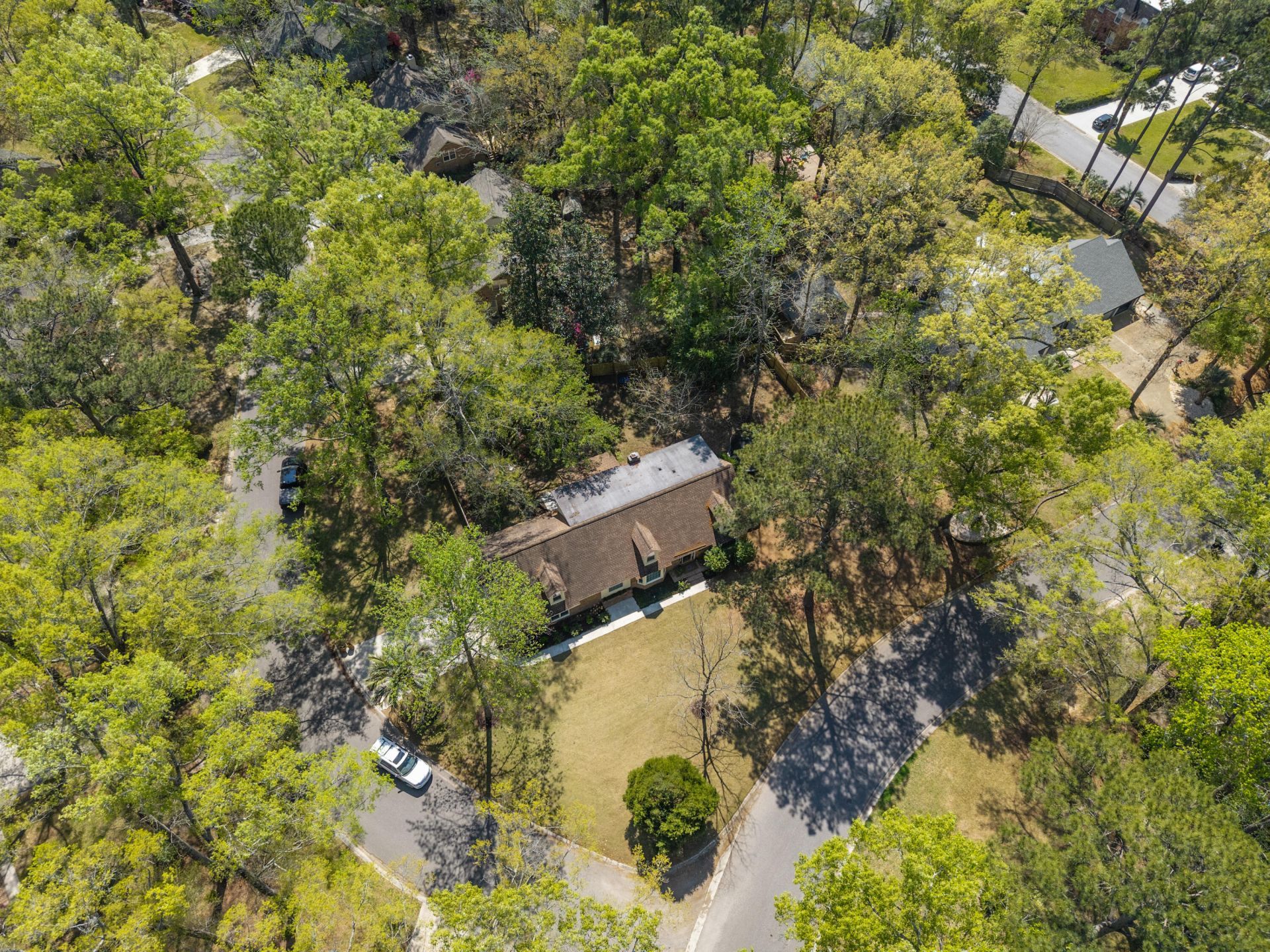 103 Tabby Lane Photo 33