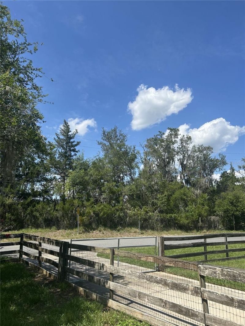 317 NE 4th Avenue, Williston, FL 32696 Photo