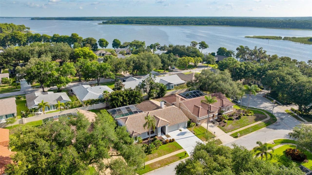 3969 Talah Drive, Palm Harbor, FL 34684 Photo