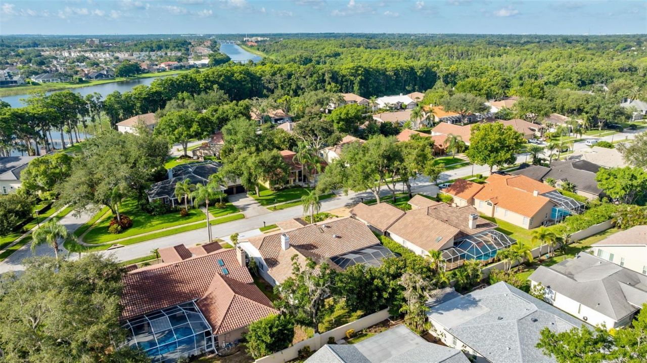 3969 Talah Drive, Palm Harbor, FL 34684 Photo