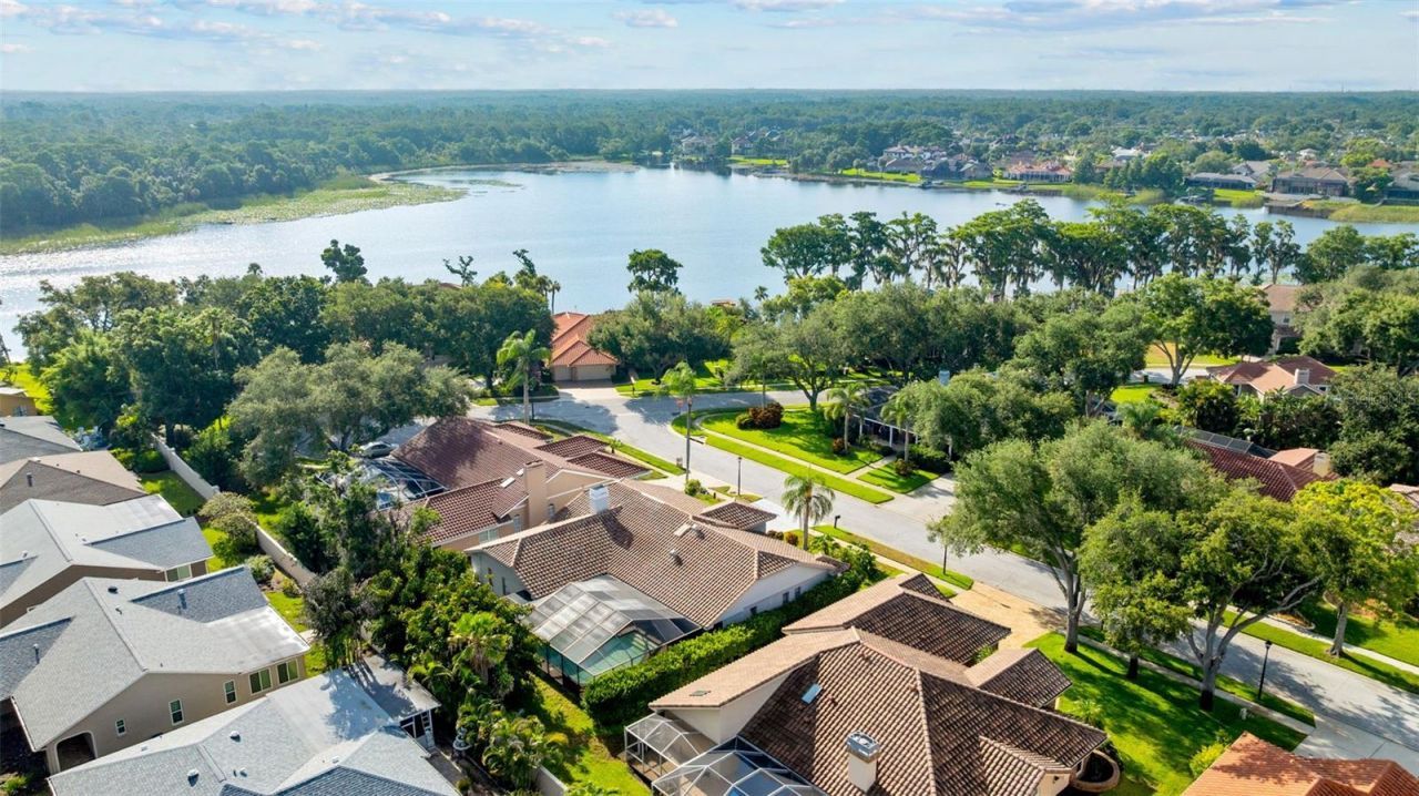 3969 Talah Drive, Palm Harbor, FL 34684 Photo