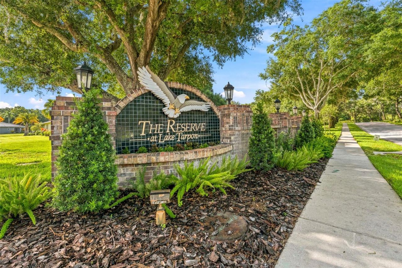 3969 Talah Drive, Palm Harbor, FL 34684 Photo