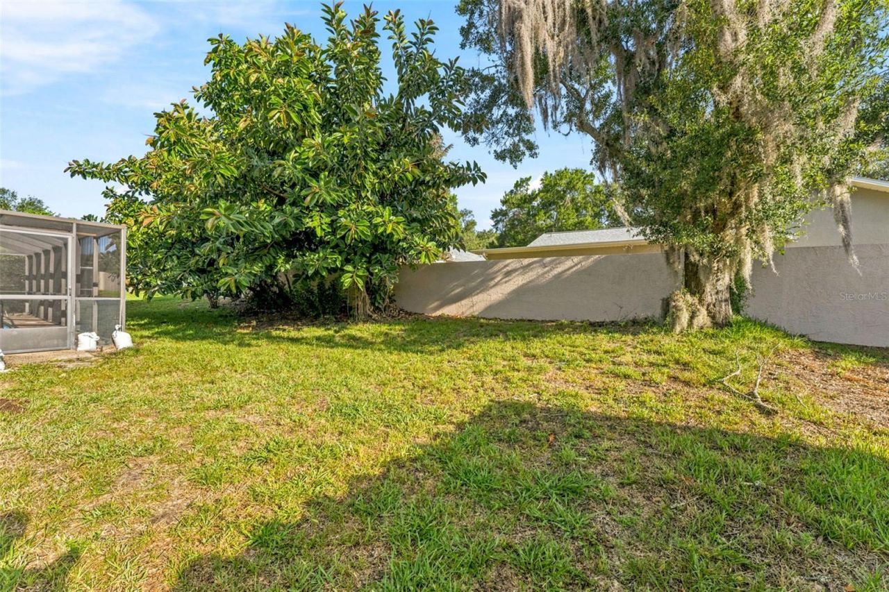 3969 Talah Drive, Palm Harbor, FL 34684 Photo