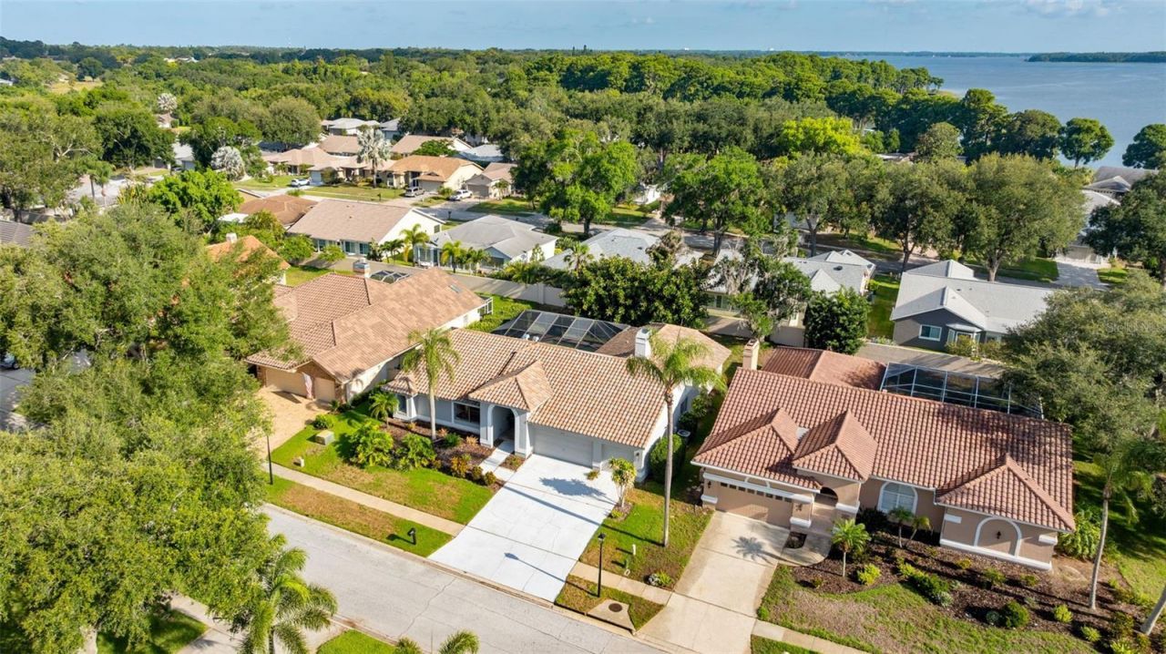 3969 Talah Drive, Palm Harbor, FL 34684 Photo