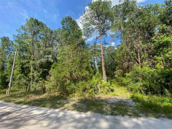 13701 NE 66TH AVENUE , CITRA, FL 32113