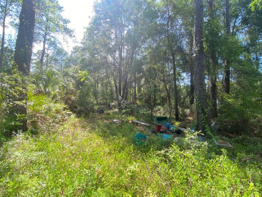 Property Image 11