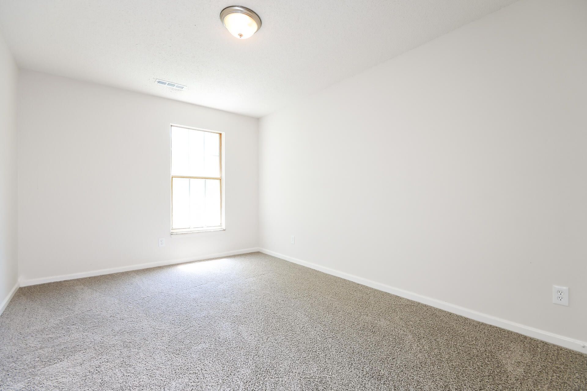 343 Damascus Drive Photo 14