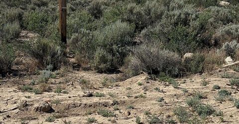 20 Quarter Horse Circle, Reno, NV 89508 Photo