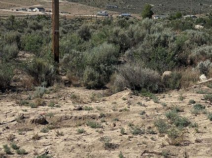 20 Quarter Horse Circle, Reno, NV 89508 Photo
