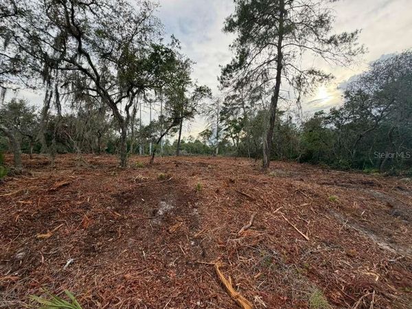 SEQUOIA TRAIL , OCKLAWAHA, FL 32179