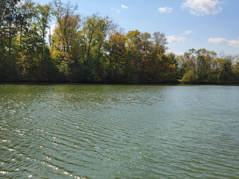 6140 Cedar Hill Lane, Florence, KY 41042 Photo 25