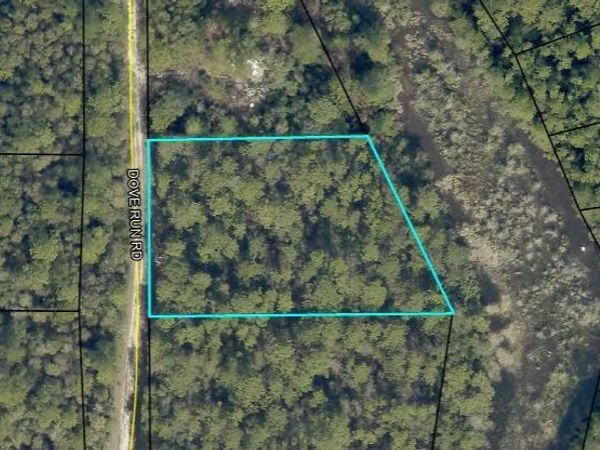 .99AC Dove Run Road, Holt, FL 32564