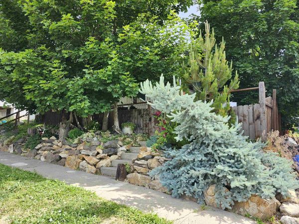825 Larch Street, Potlatch, ID 83855