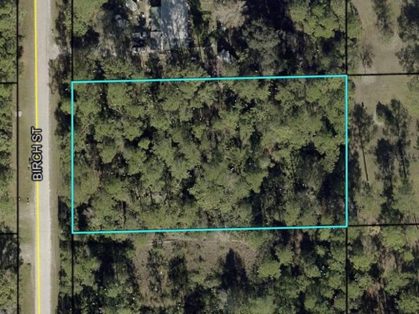 1115 BIRCH STREET , BUNNELL, FL 32110