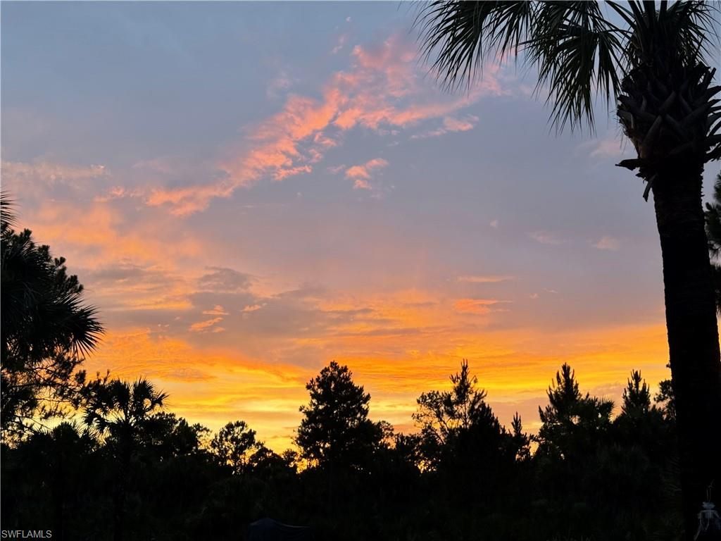 Naples, Fl Ivy Way, Naples, FL 34117 Photo