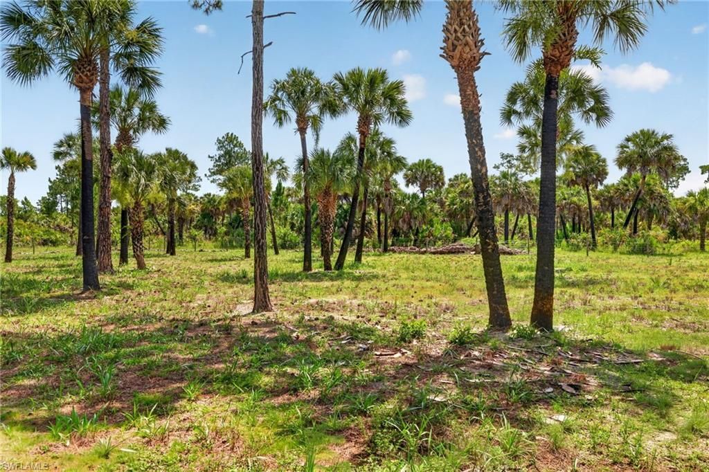 Naples, Fl Ivy Way, Naples, FL 34117 Photo