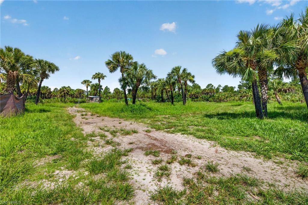 Naples, Fl Ivy Way, Naples, FL 34117 Photo