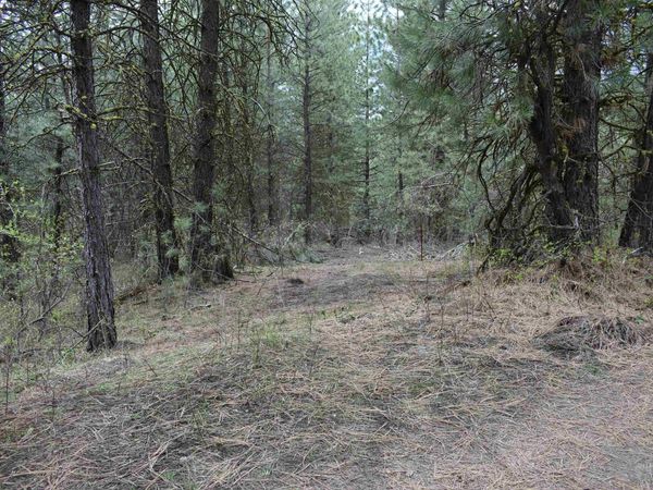 TBD Outlaw Trail, Banks, ID 83602