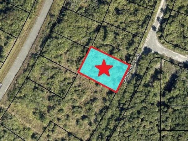 2466 LANDRUM AVENUE SW, PALM BAY, FL 32908