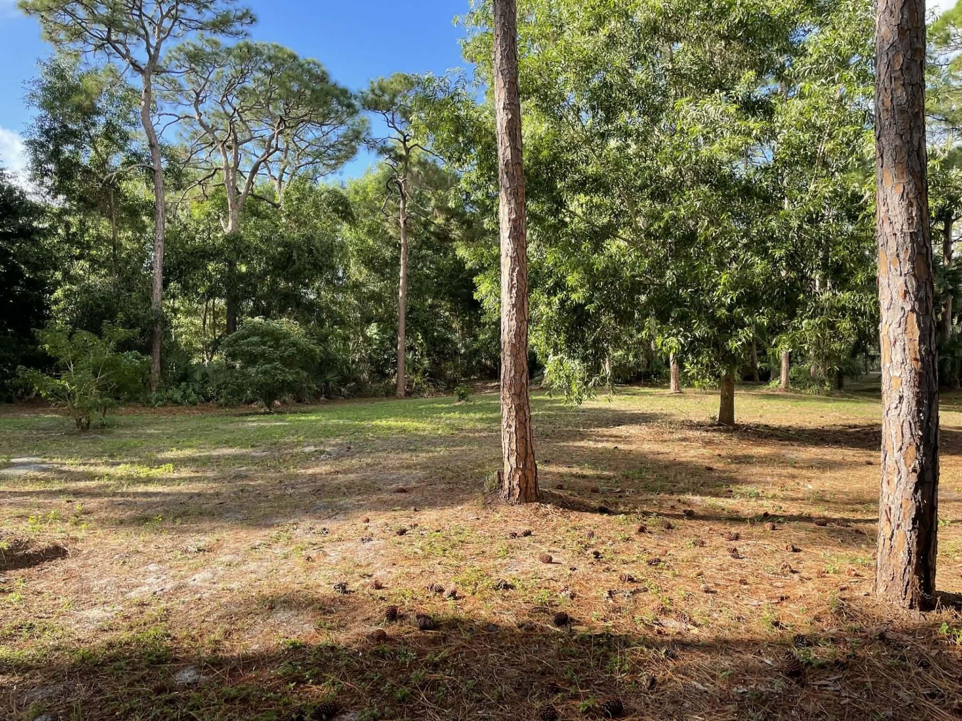 3233 NW Dockage Way, Palm City, FL 34990 Photo