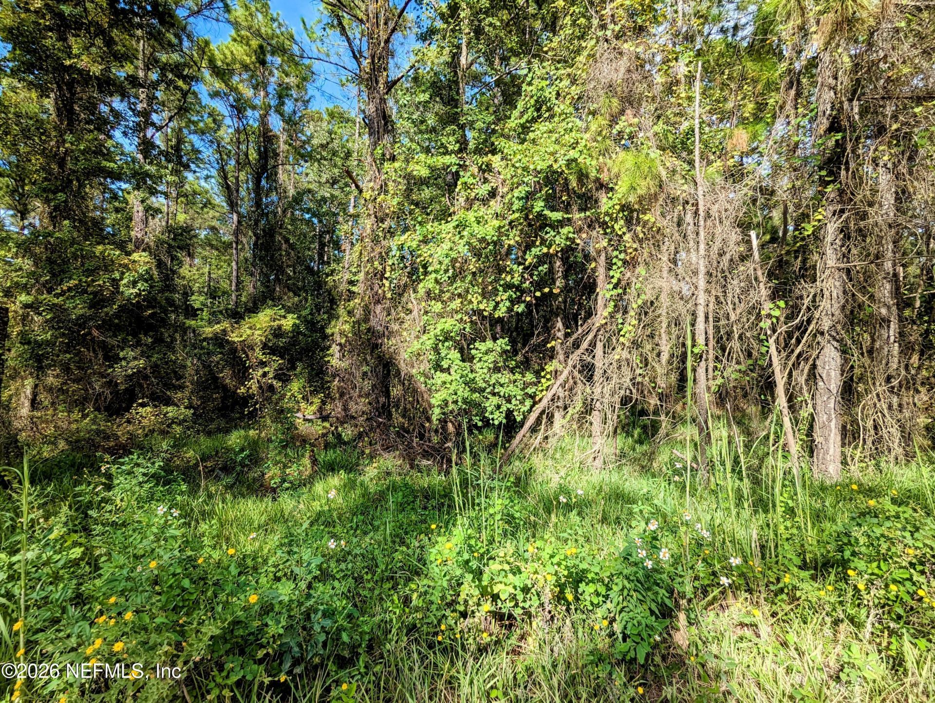 000 NE Us Hwy 301, Waldo, FL 32694 Photo