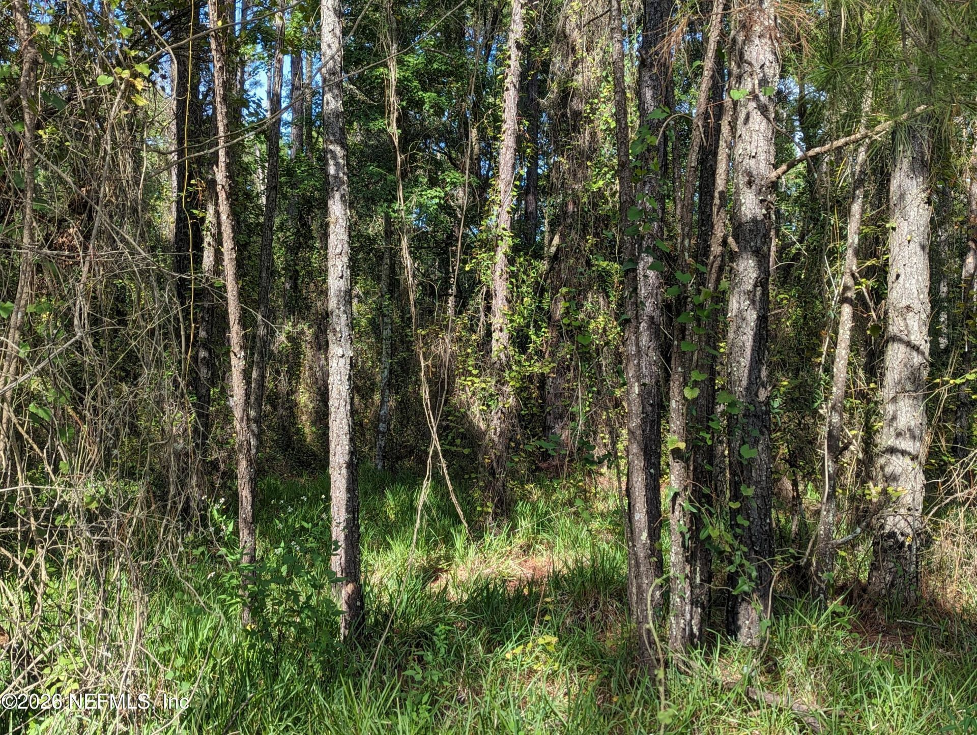 000 NE Us Hwy 301, Waldo, FL 32694 Photo