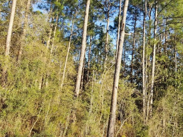 Canal Road, Gulfport, MS 39503