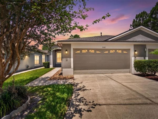 1143 WRIGHTSWYNDE COURT , WESLEY CHAPEL, FL 33543