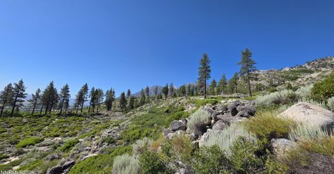 1219-04-002-005 Kingsbury Grade Road, Gardnerville, NV 89460 Photo