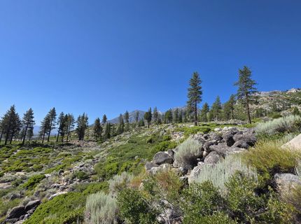 1219-04-002-005 Kingsbury Grade Road, Gardnerville, NV 89460 Photo