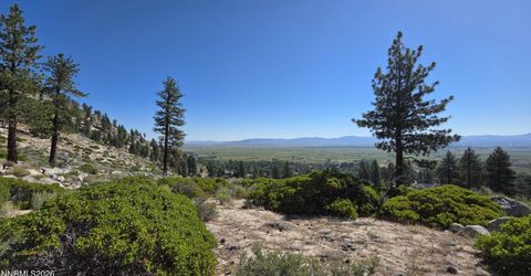 1219-04-002-005 Kingsbury Grade Road, Gardnerville, NV 89460 Photo
