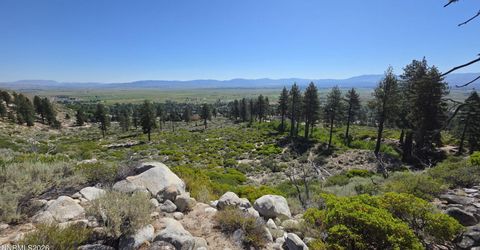 1219-04-002-005 Kingsbury Grade Road, Gardnerville, NV 89460 Photo