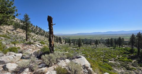 1219-04-002-005 Kingsbury Grade Road, Gardnerville, NV 89460 Photo