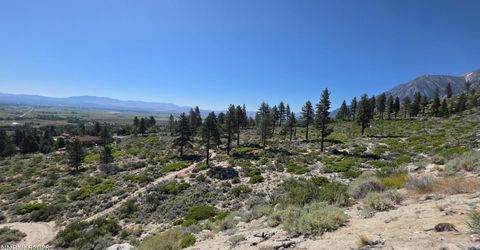 1219-04-002-005 Kingsbury Grade Road, Gardnerville, NV 89460 Photo
