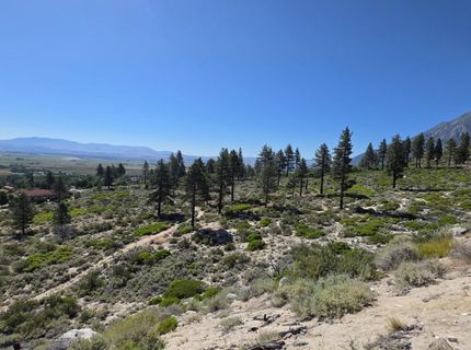 1219-04-002-005 Kingsbury Grade Road, Gardnerville, NV 89460 Photo