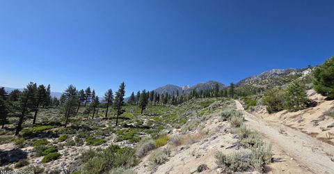 1219-04-002-005 Kingsbury Grade Road, Gardnerville, NV 89460 Photo