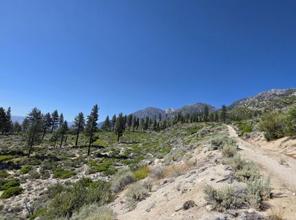 1219-04-002-005 Kingsbury Grade Road, Gardnerville, NV 89460 Photo