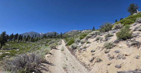 1219-04-002-005 Kingsbury Grade Road, Gardnerville, NV 89460 Photo